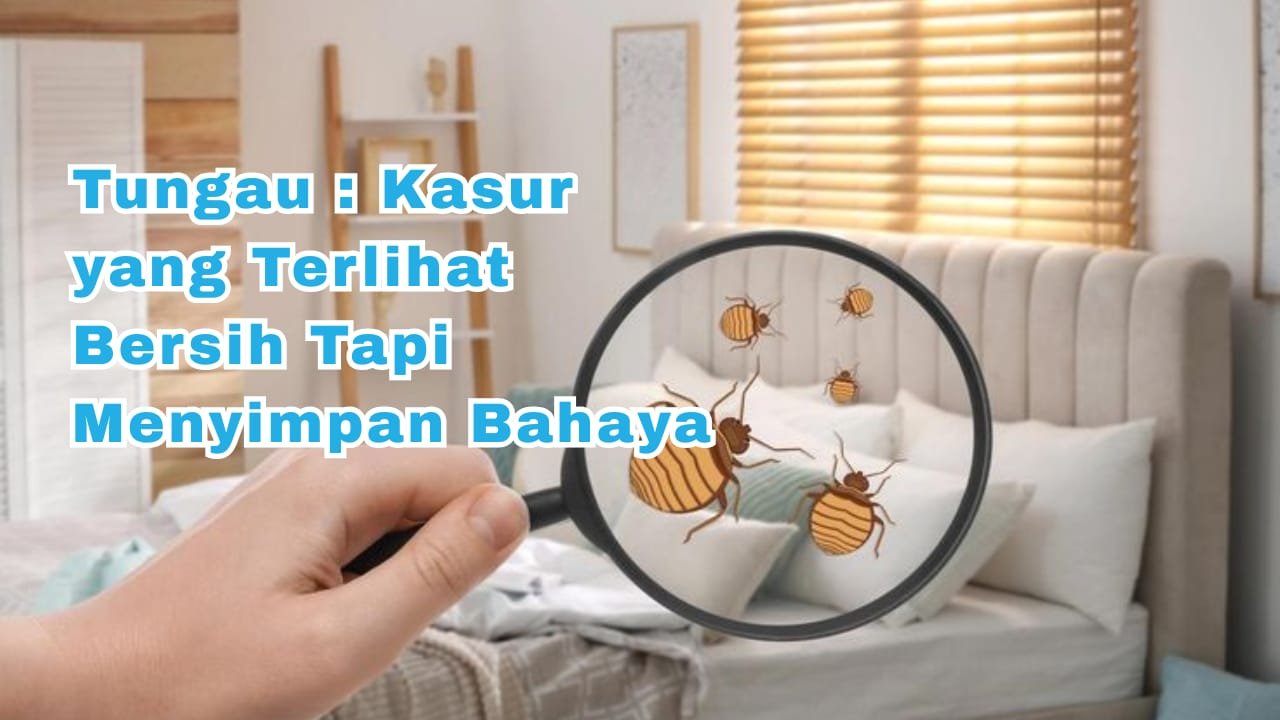 Tungau-Kasur yang Terlihat Bersih tapi Menyimpan Bahaya